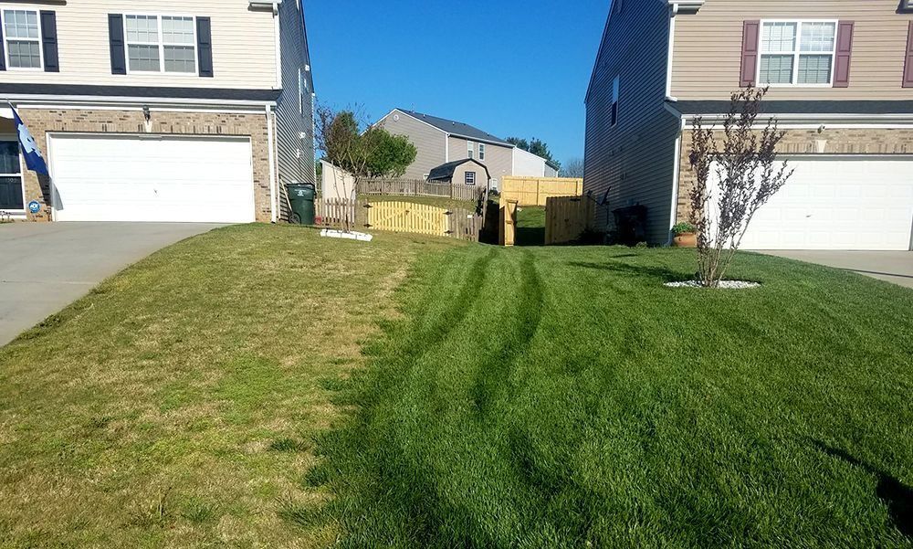 Lawn between two houses with a distinct mowing pattern; one side less vibrant, other side freshly cut.
