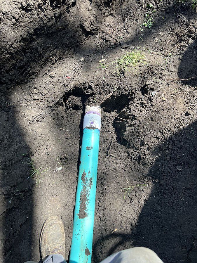 A turquoise pipe emerges from dark soil. A person's foot and leg are visible in the foreground.