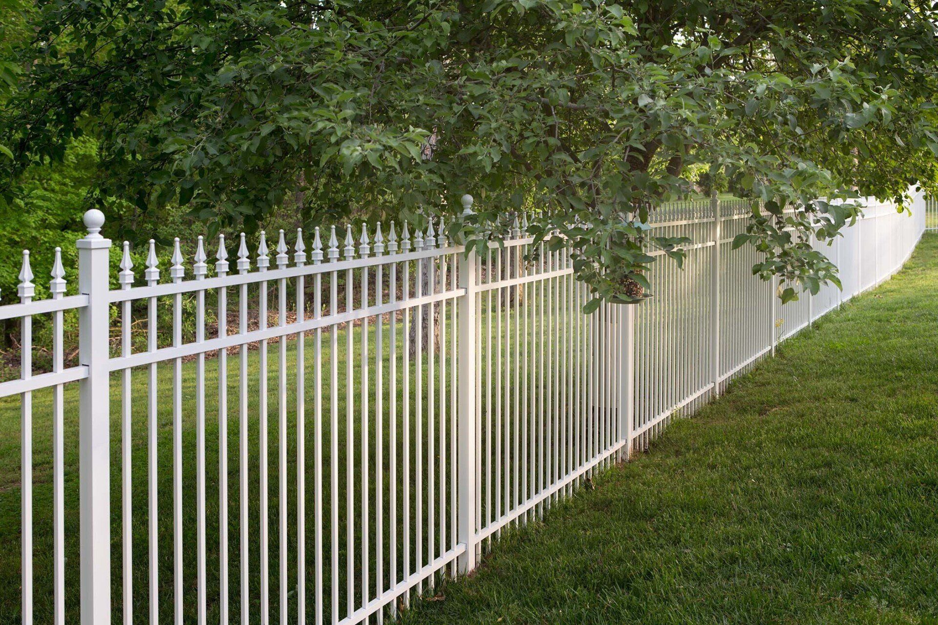 Fence
