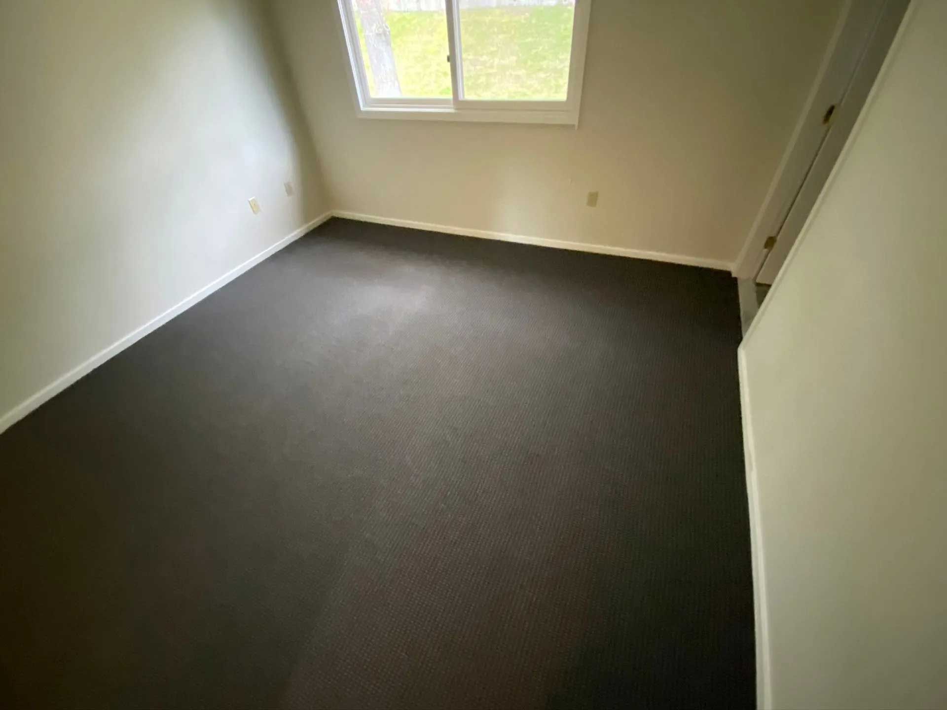 Empty room with dark carpet, white walls, window, and closed door.