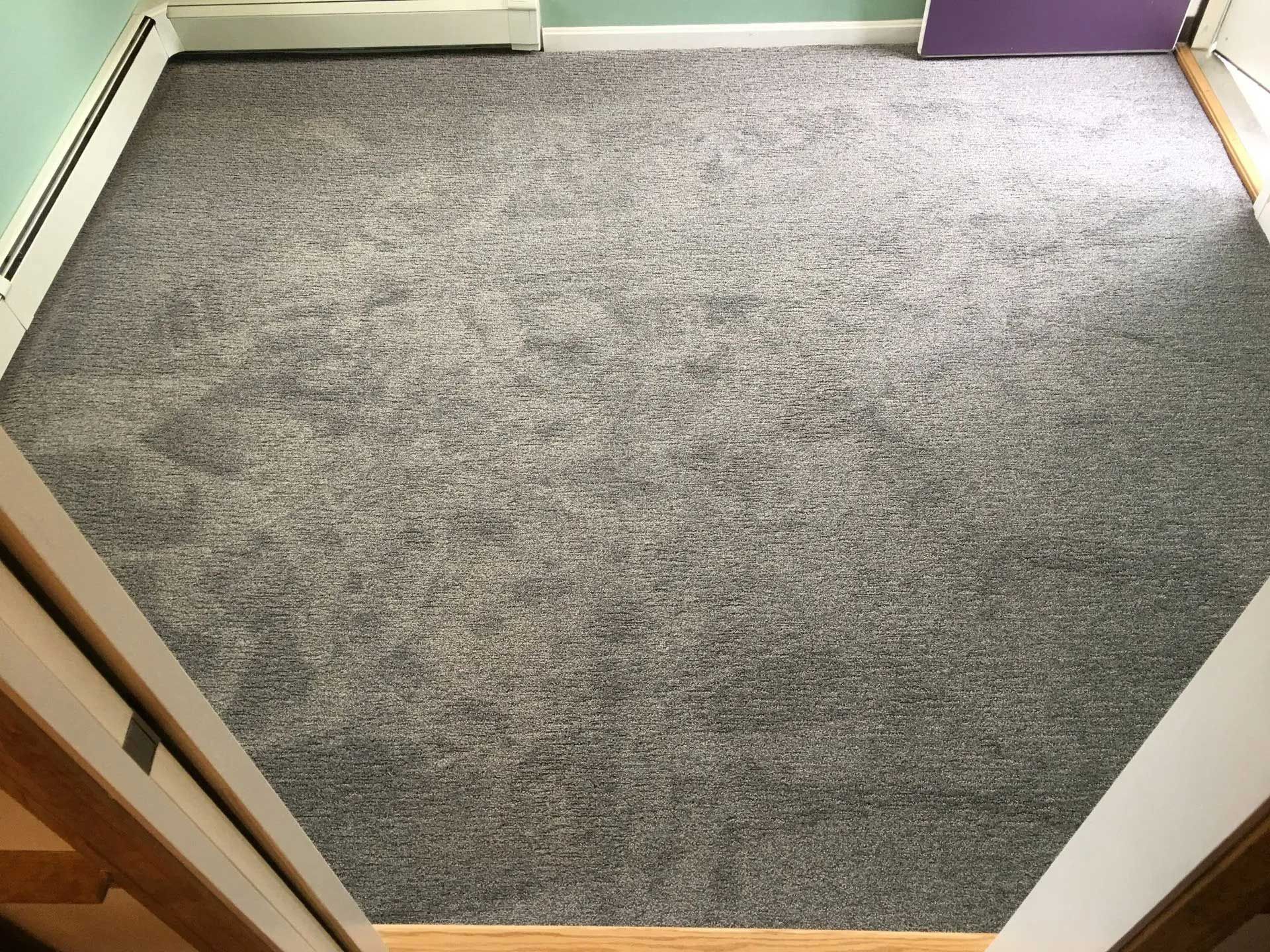 A room with gray carpet, seen from the doorway. Sunlight streams in from the right side.