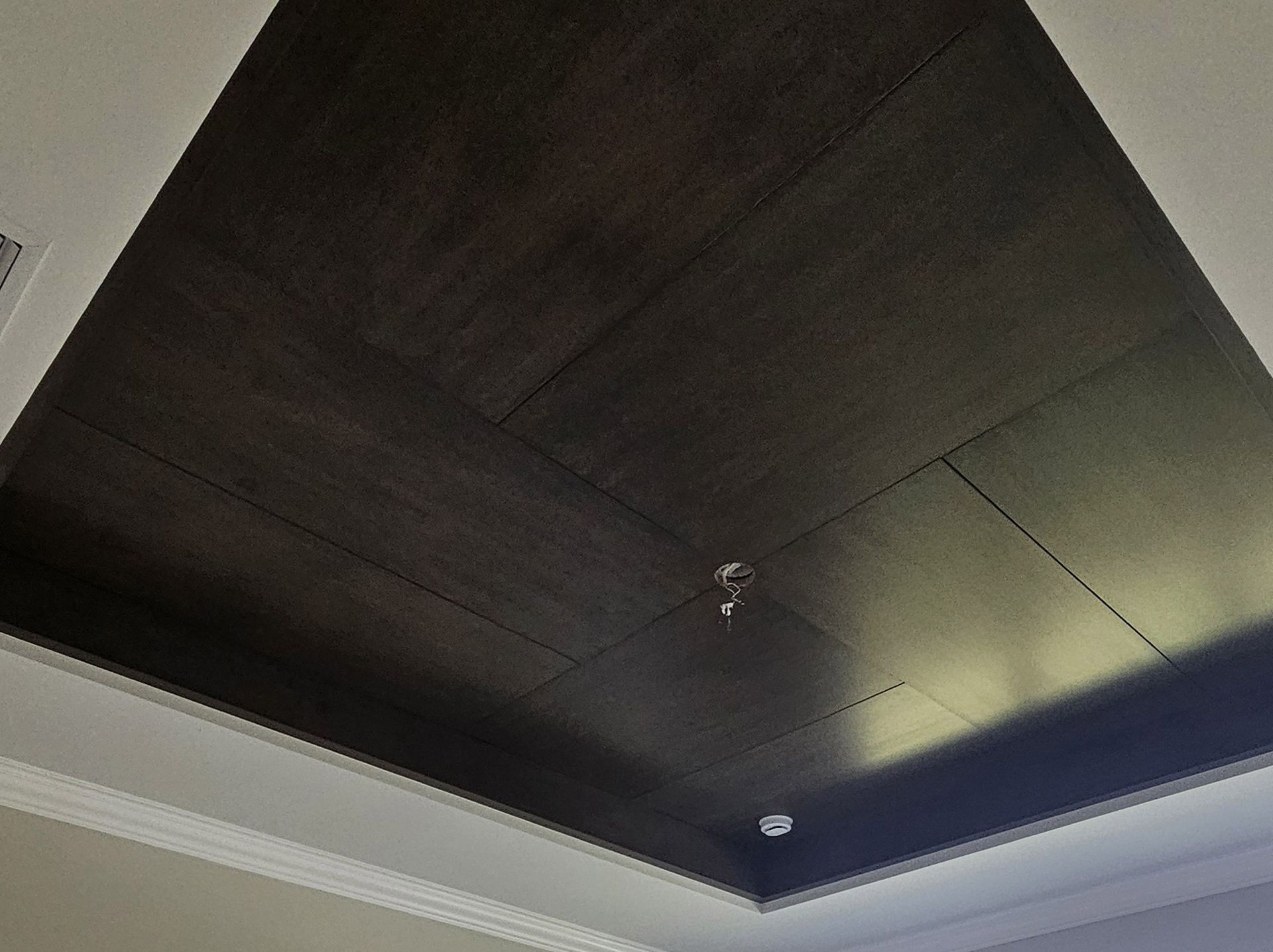 Black paneled ceiling with recessed lighting and a small hanging fixture in a modern room