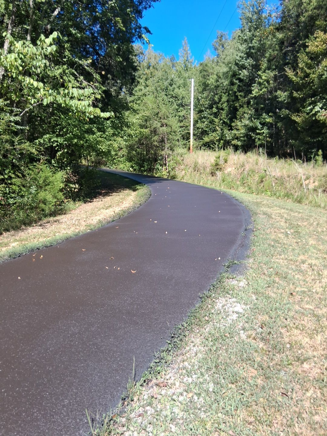 Paved walking path curves through a wooded area on a sunny day.