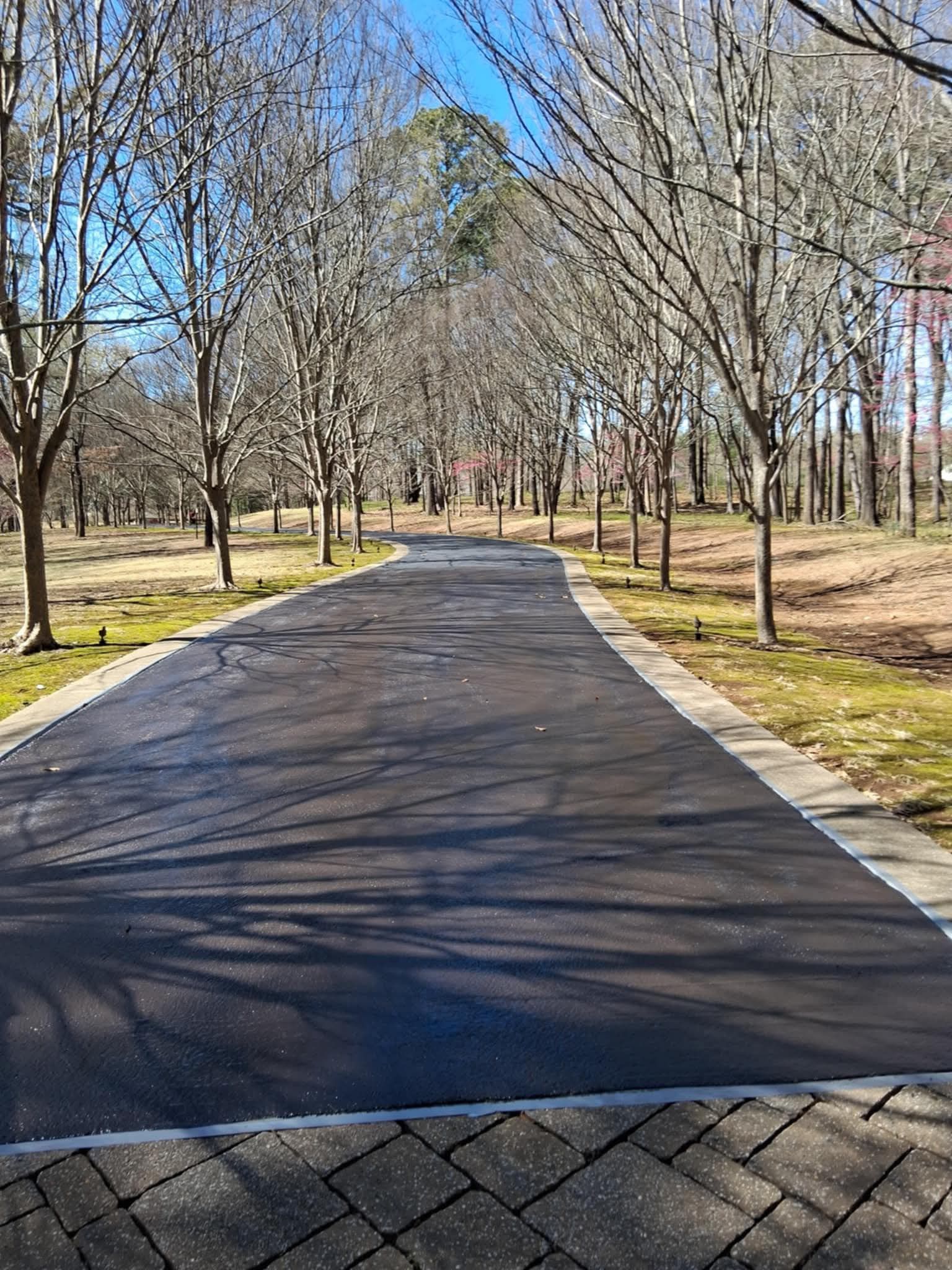 Asphalt driveway lined with bare trees, leading to a sunny forest.