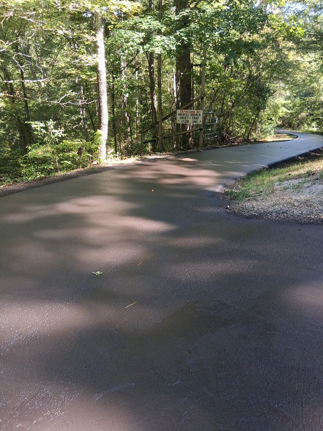 Paved road curves into a wooded area. Sign is posted on a tree. Sunny day.