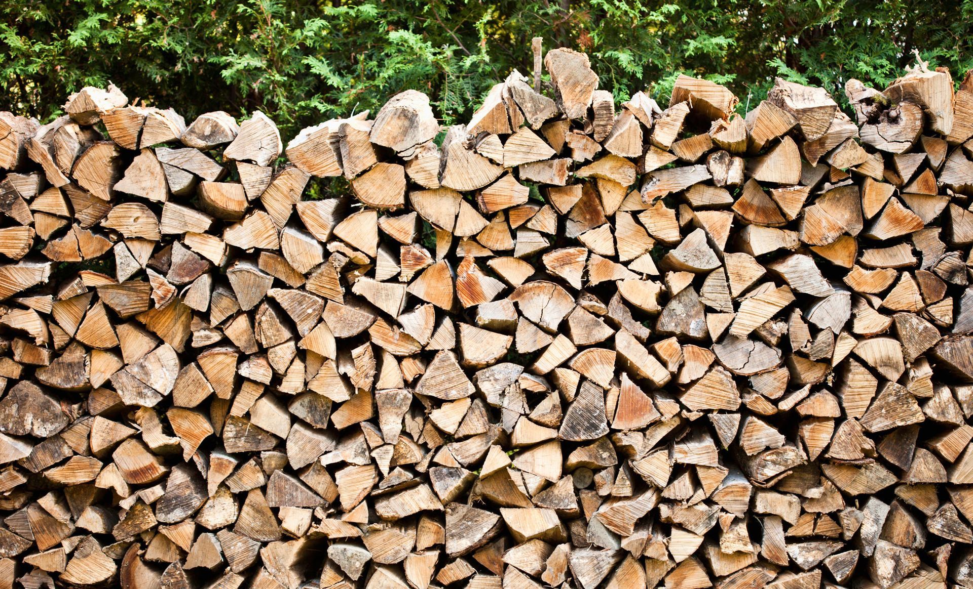 Firewood