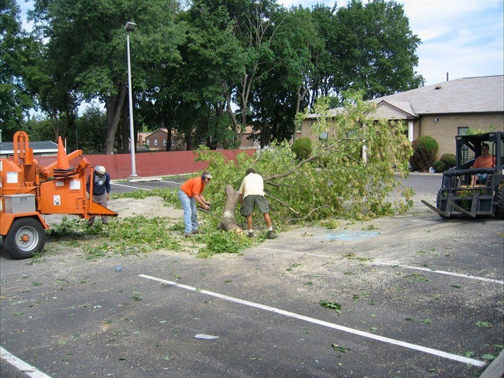 Tree Service