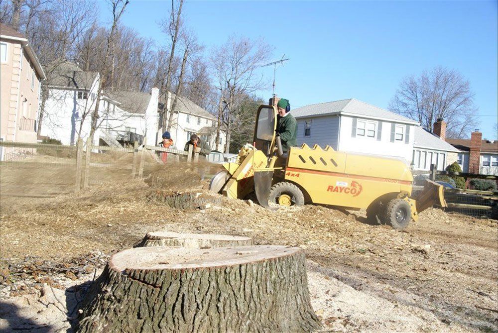 Stump Grinding