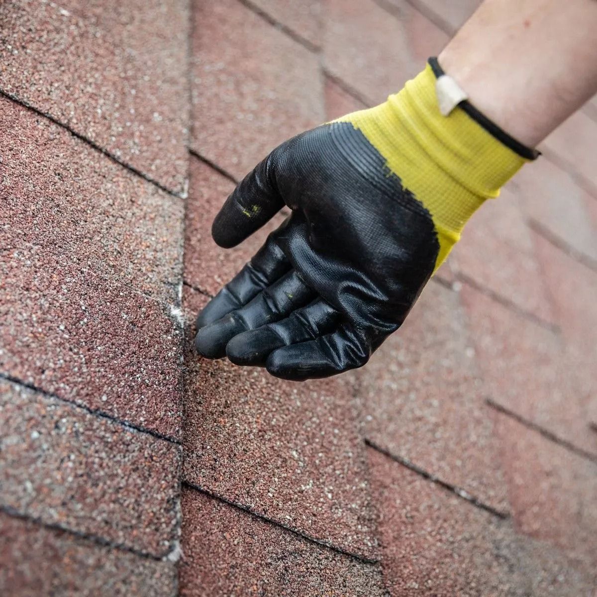 Gloved hand inspecting granules on a shingled roof