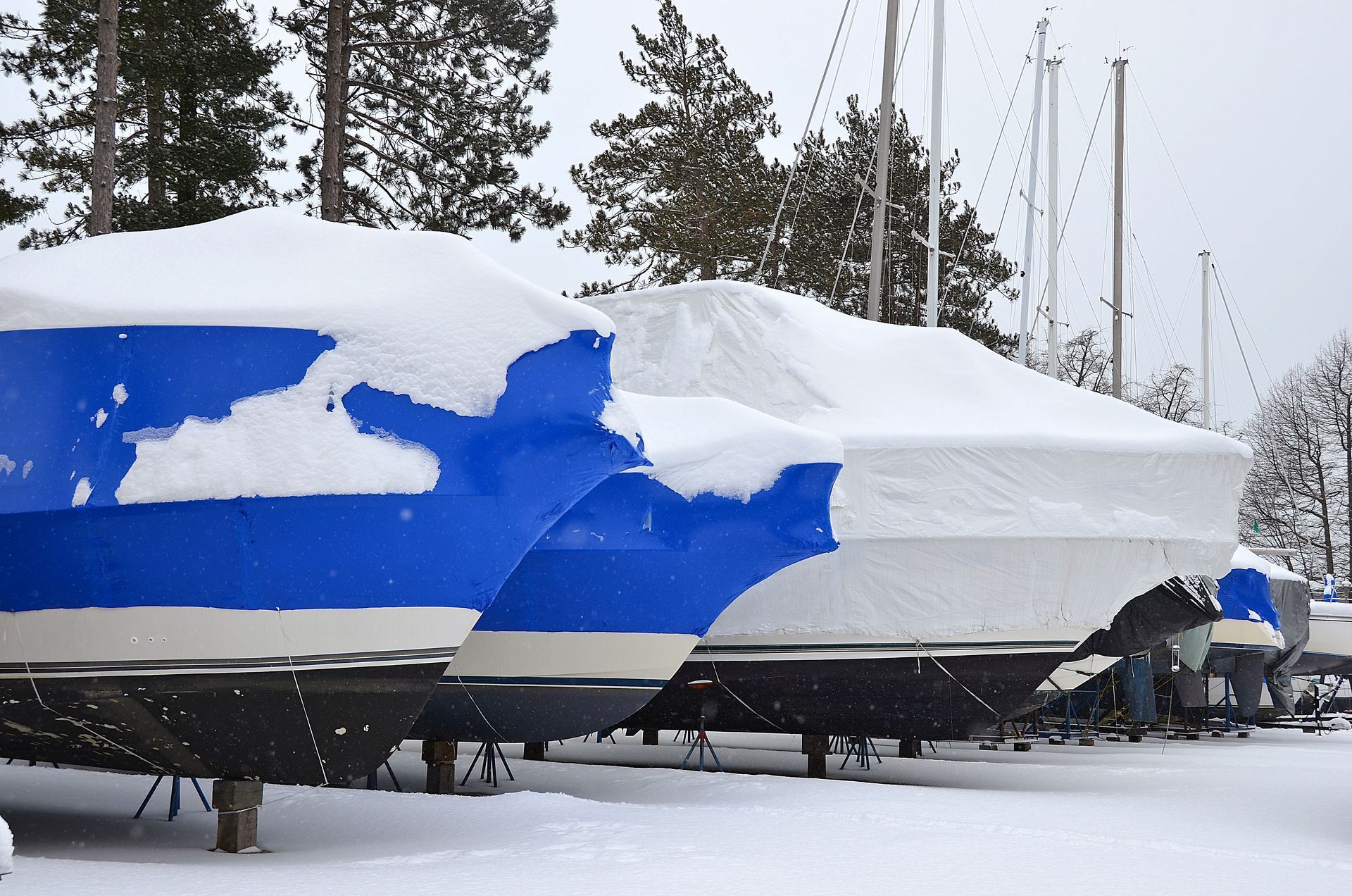 Snow-covered boats in dry dock. Blue and white hulls, winter setting, trees in background.