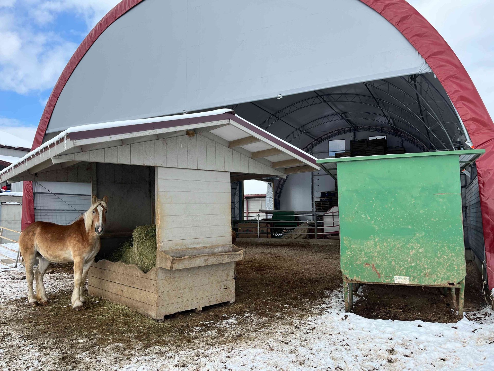 Horse standing near a hay feeder under a white and red shed.