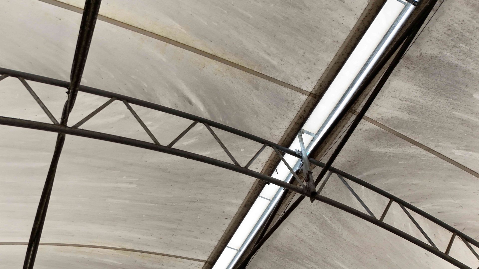 Steel-framed greenhouse ceiling with translucent covering.