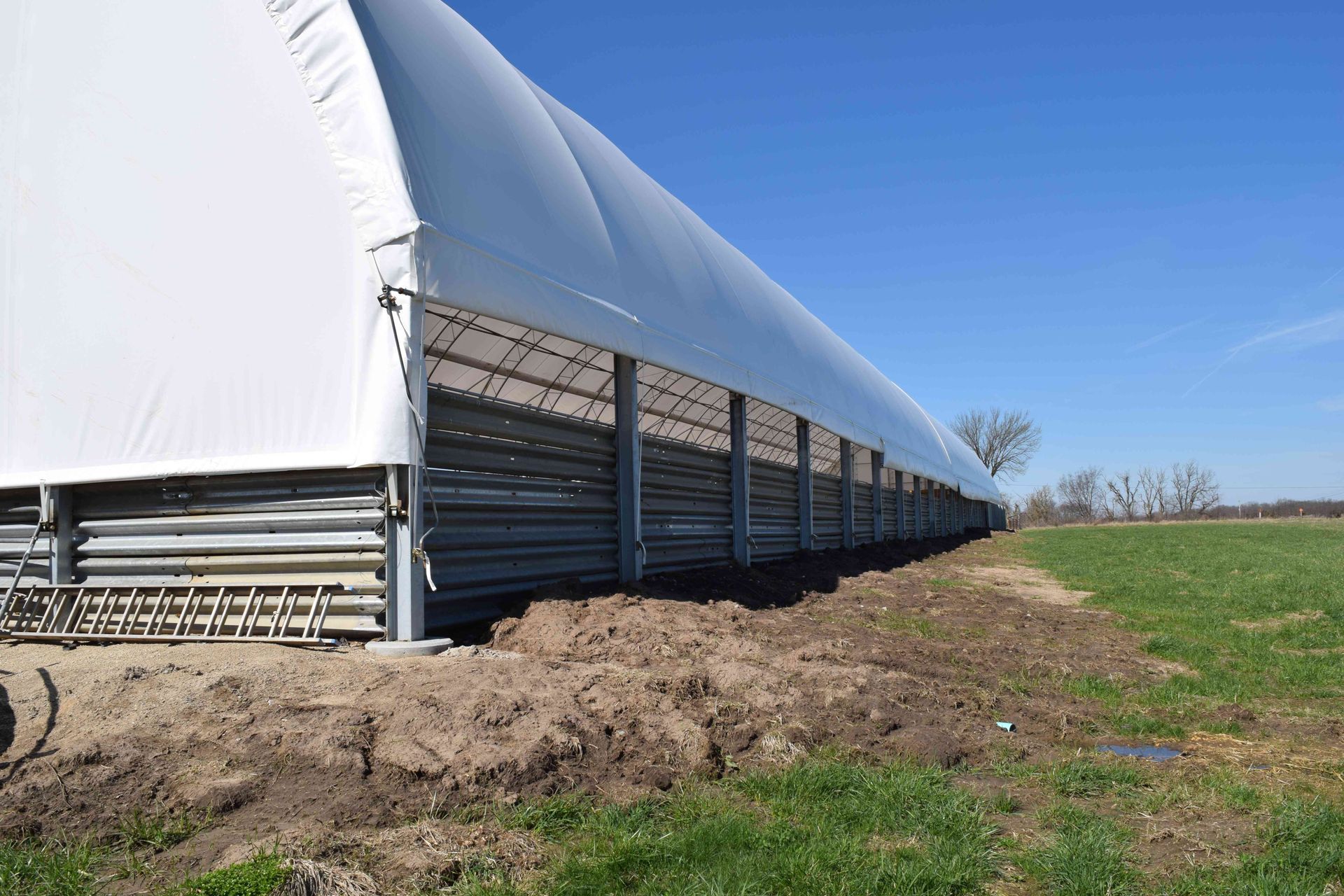 White-roofed agricultural building with metal supports on a grassy field under a blue sky.
