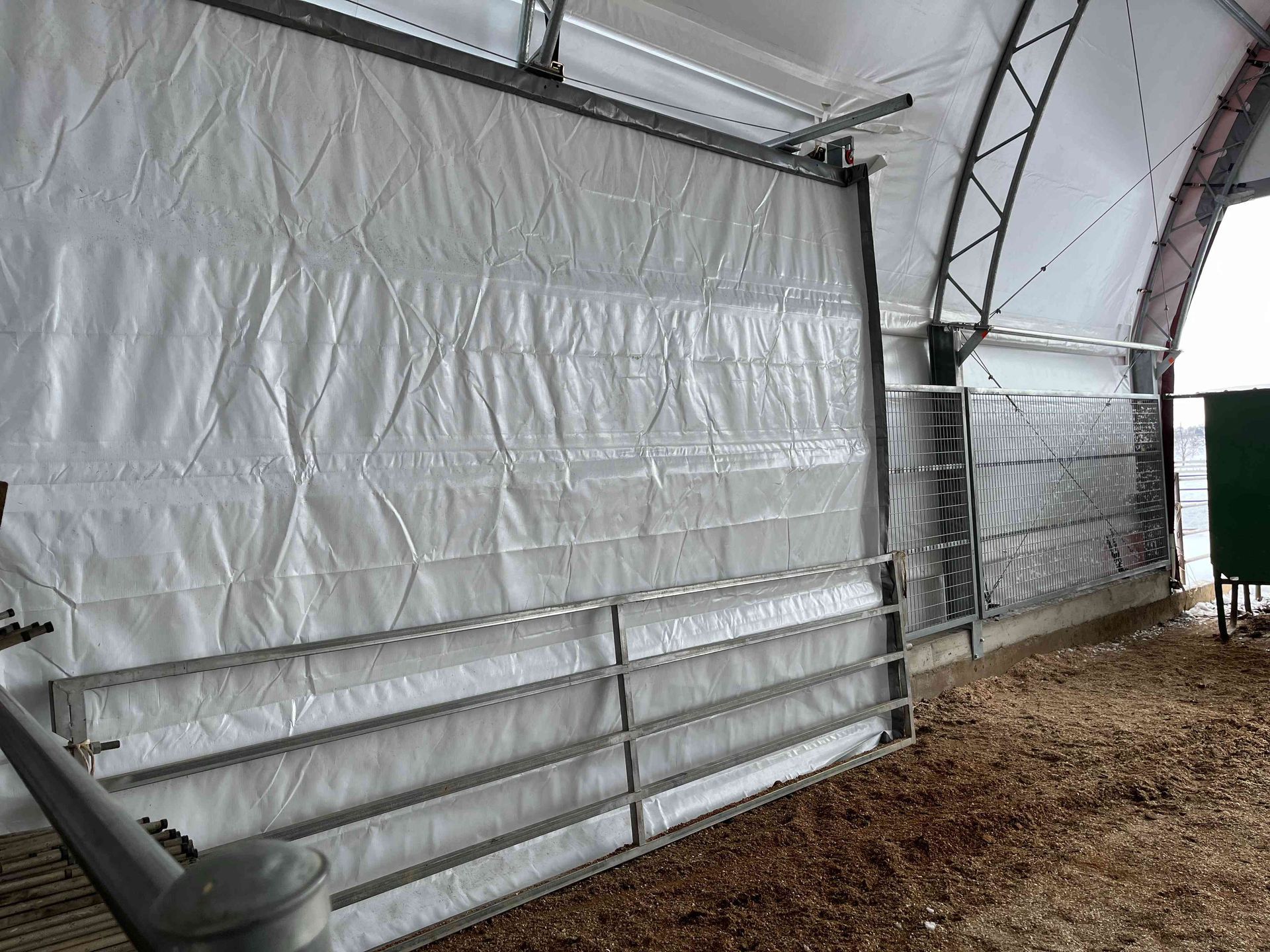 Interior of a barn with a white plastic wall and metal gate, filled with wood chips.