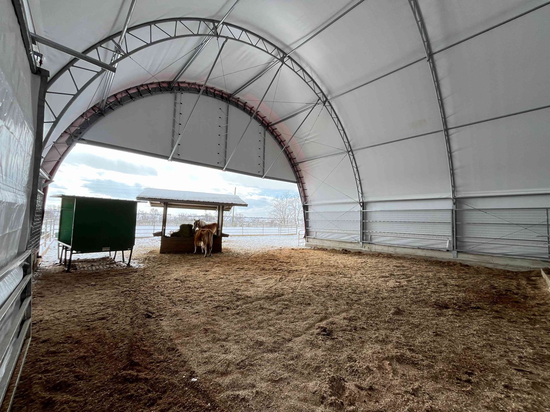 Inside a large white arched-roof barn, wood shavings cover the ground. An open doorway reveals a snow-covered outdoor scene.