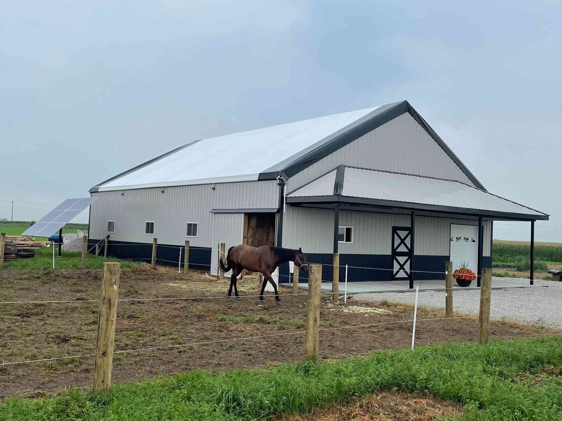 Horse near a white barn with a black trim, and solar panels. A cloudy day.