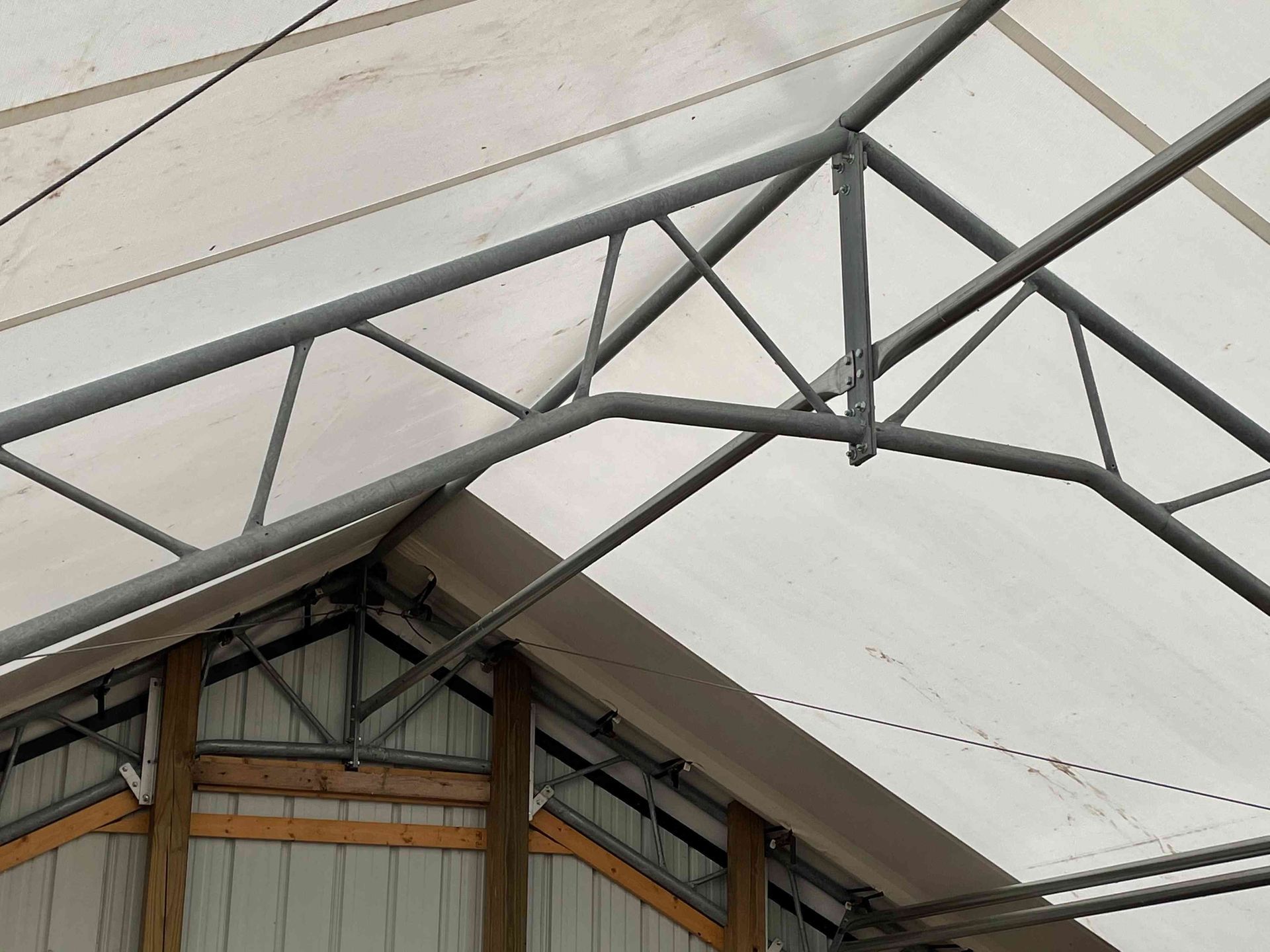 Steel frame greenhouse roof with white covering.