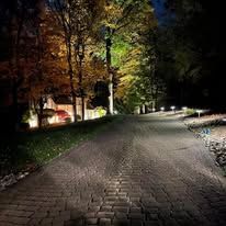 A brick driveway lit by streetlights leads to a house with trees in a night setting.