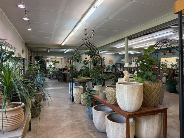 Plant-filled indoor nursery with potted trees and decorative planters on display benches