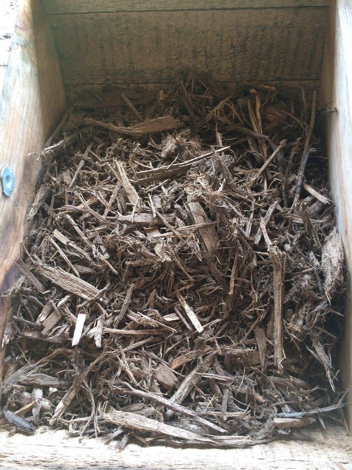 Cardboard box filled with dry sticks and twigs