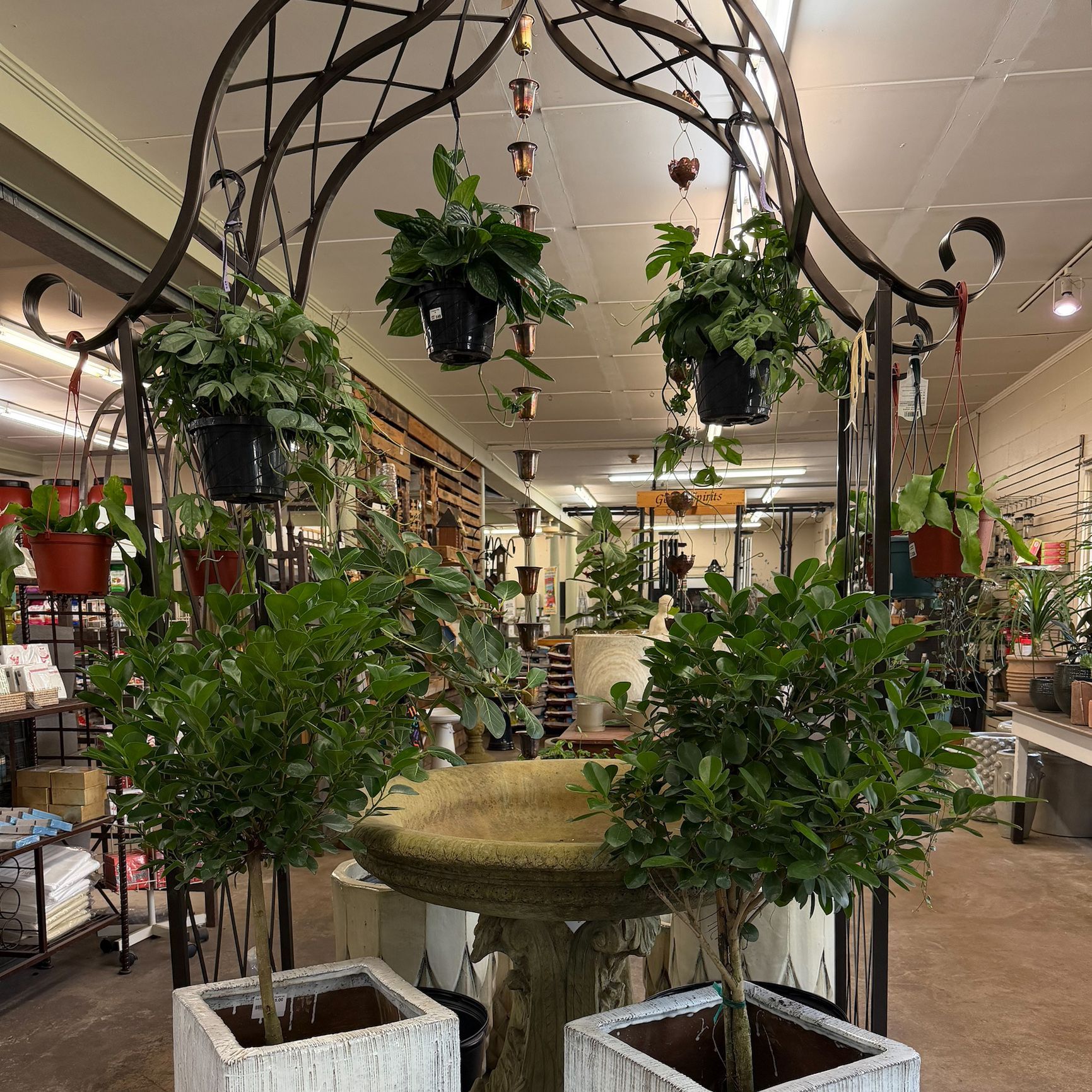 Floral shop display with potted plants, wreaths, and decorative items on shelves against a wood wall
