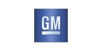GM logo in white letters on a blue square with a silver bar below.