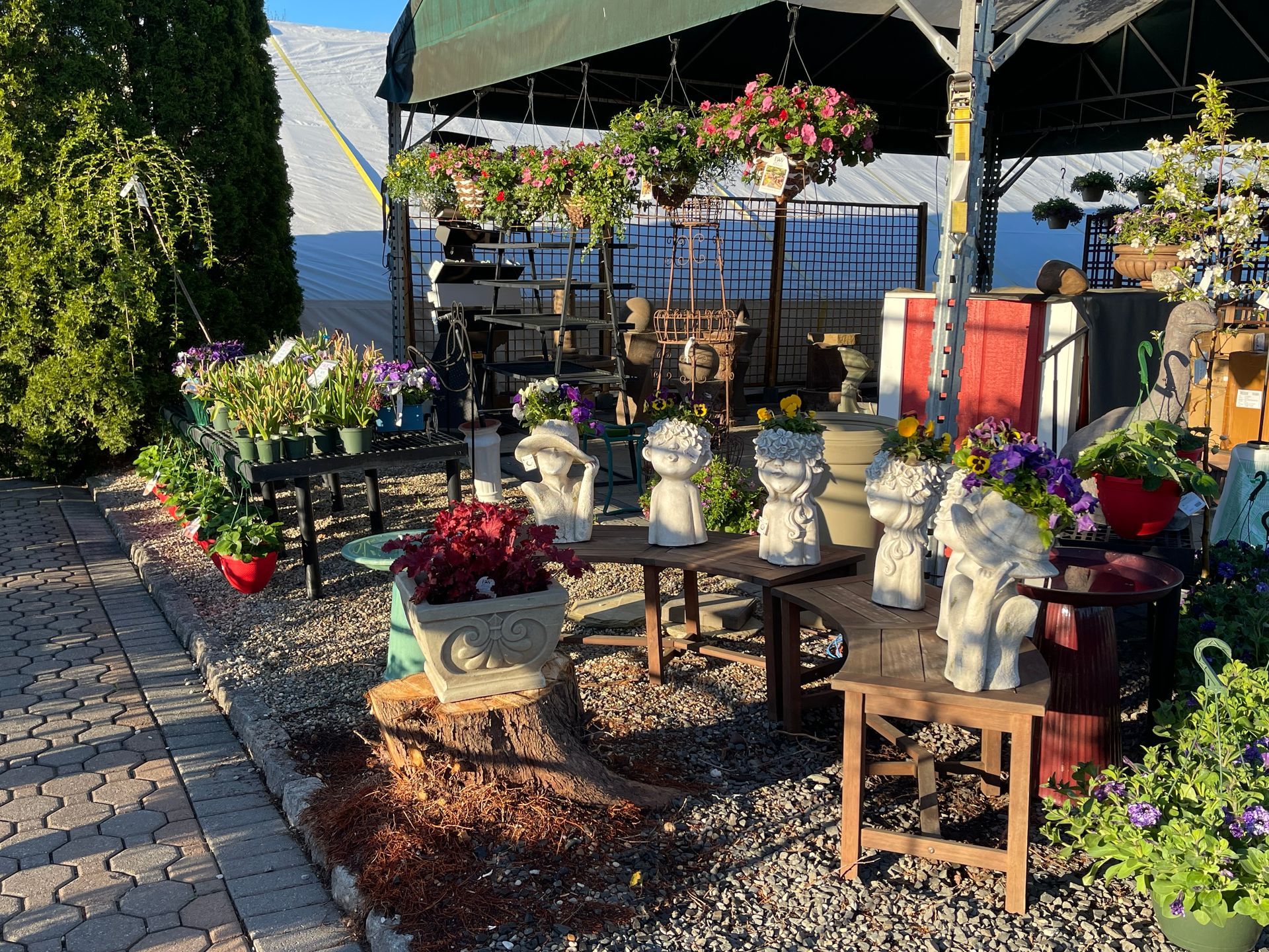 Plants and garden Decoe