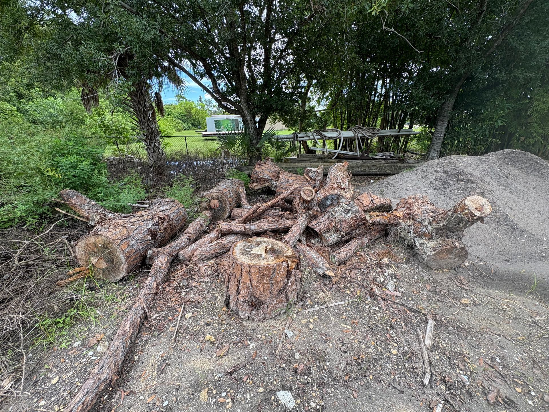 Pile of cut logs and branches, with a gray dirt pile, in a yard with trees and a building in the background.