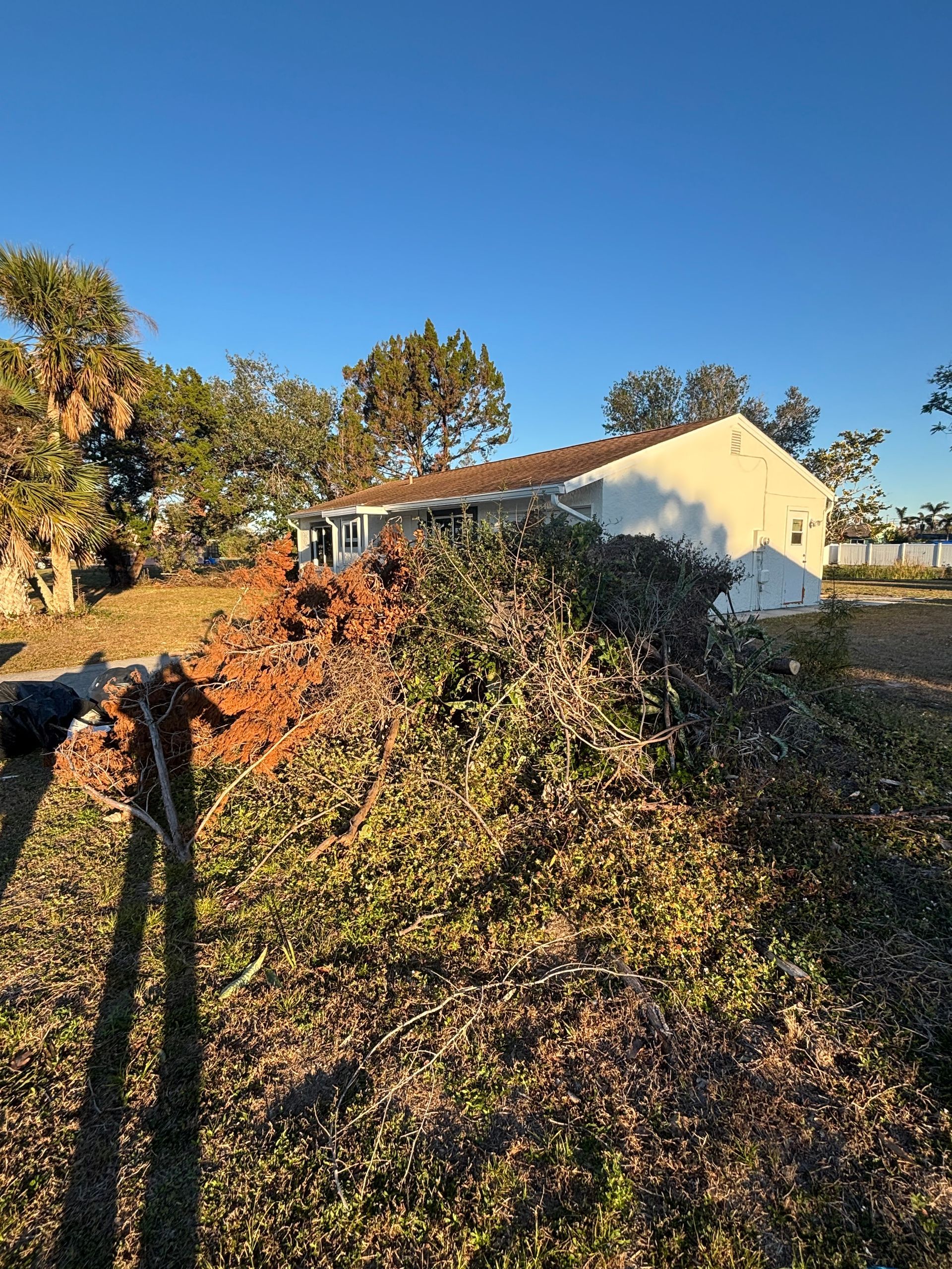 Pile of cut foliage in front of a white house under a clear, blue sky.