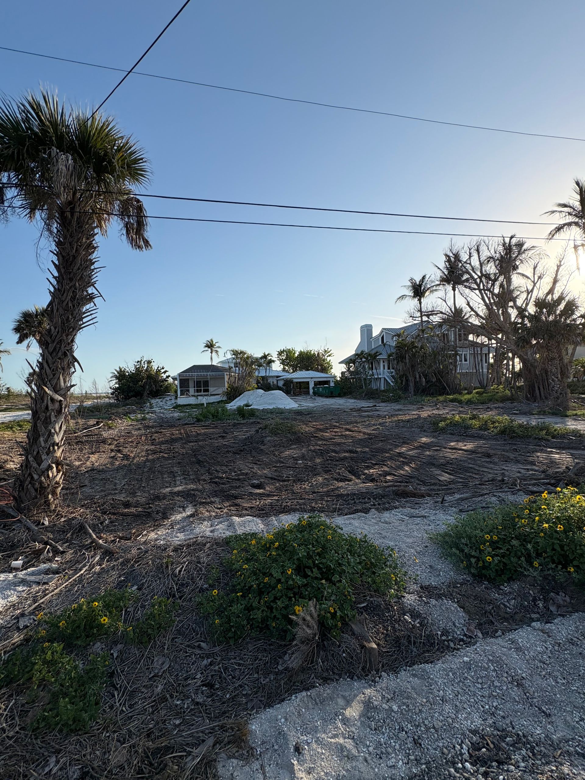 Cleared lot with shrubs and a few houses in the background under a blue sky.