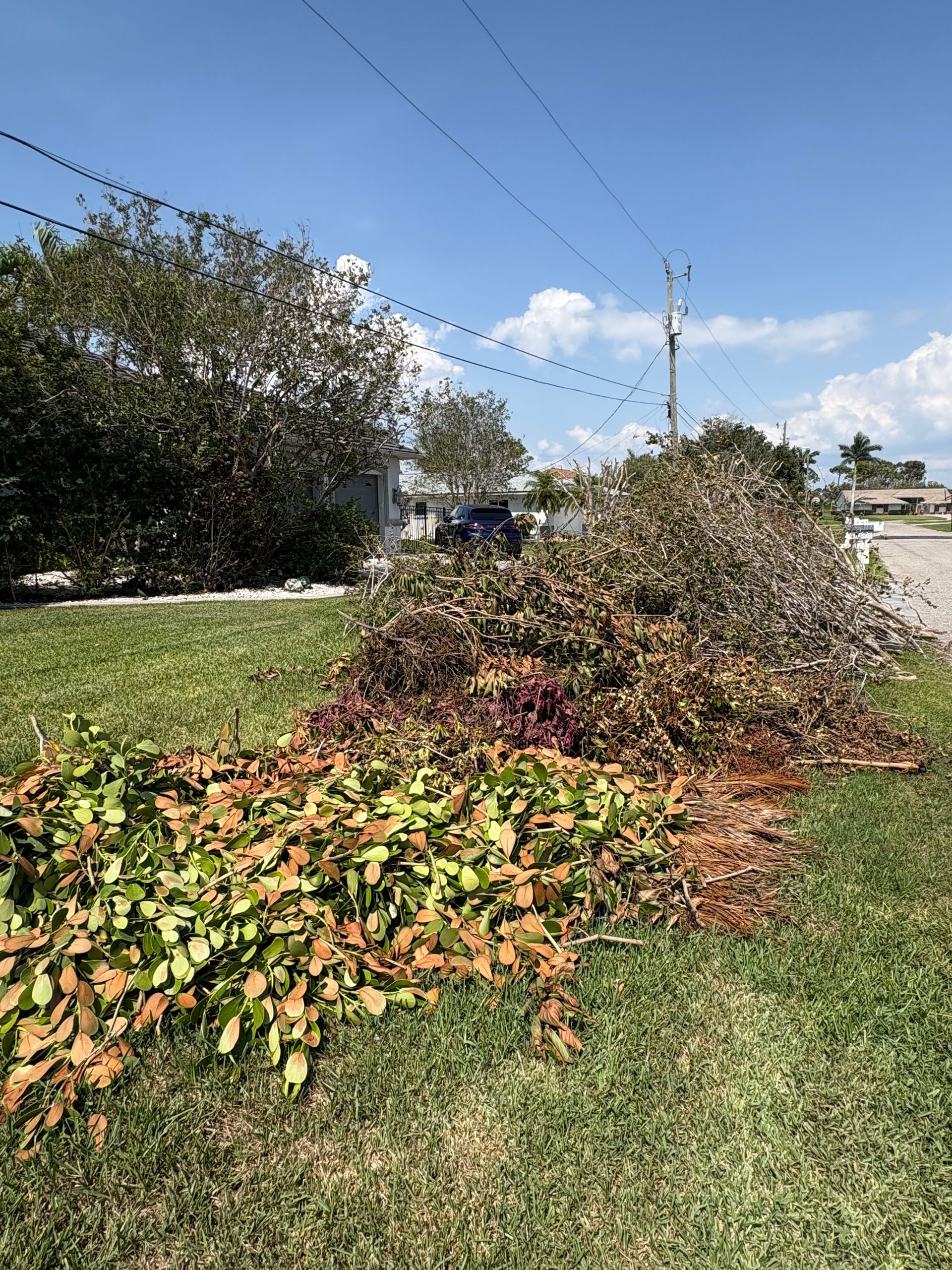 Pile of trimmed bushes and leaves on green grass. Power lines and a blue sky in background.