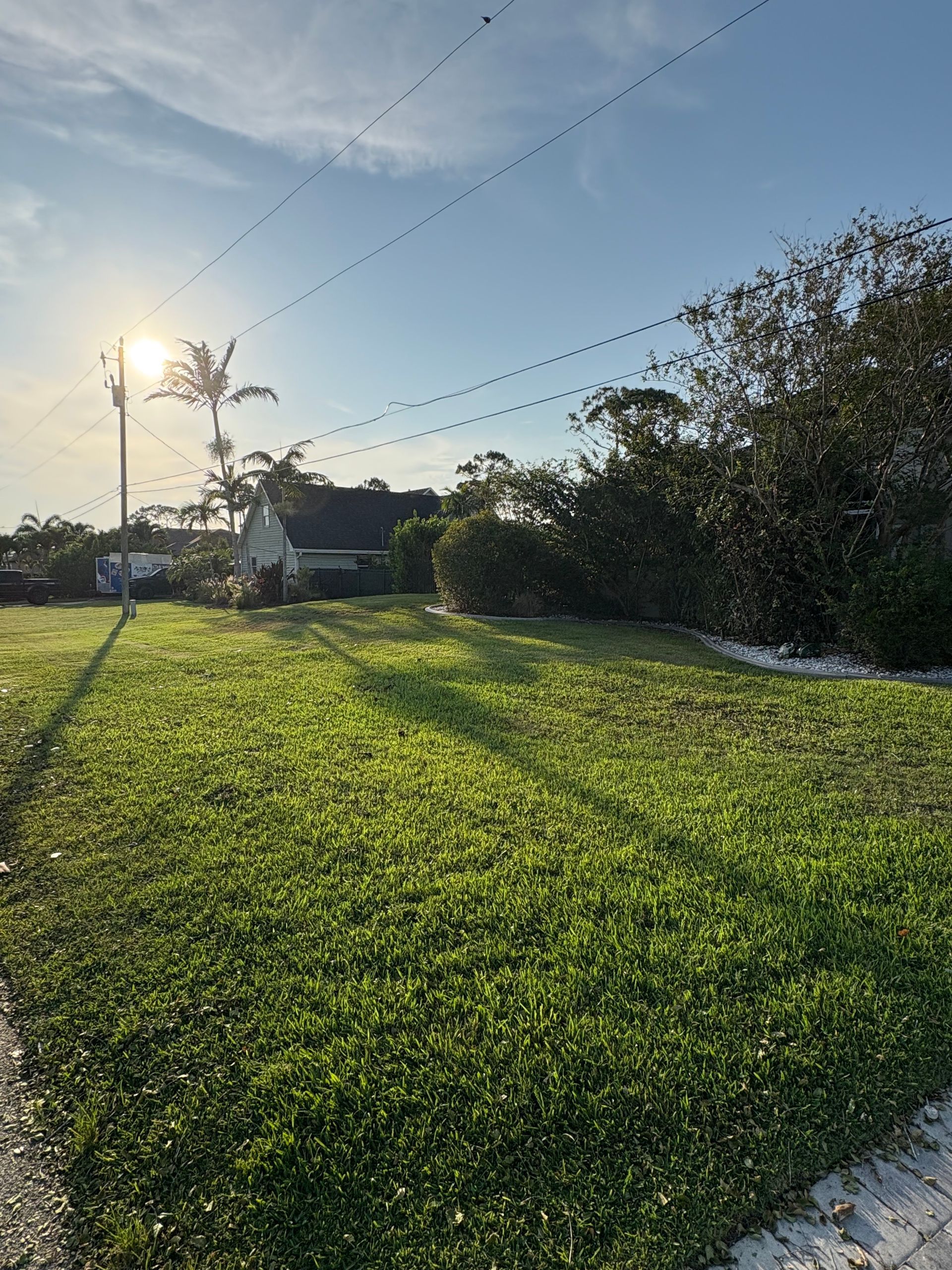 Grassy lawn in sunlight; house and trees in the background under a blue sky.
