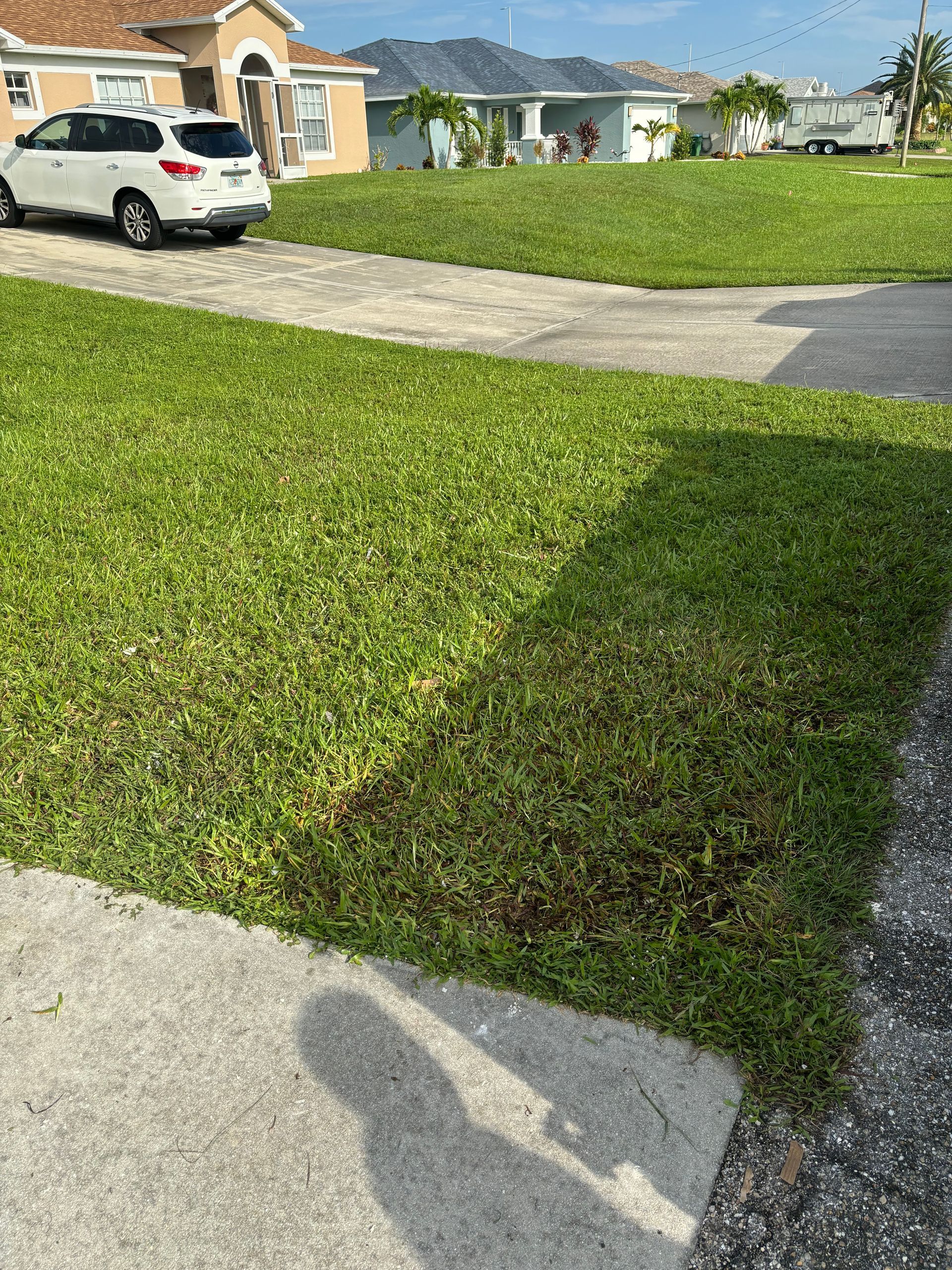 Lush green grass lawn with a dark patch, next to a concrete driveway and sidewalk, houses in the background.