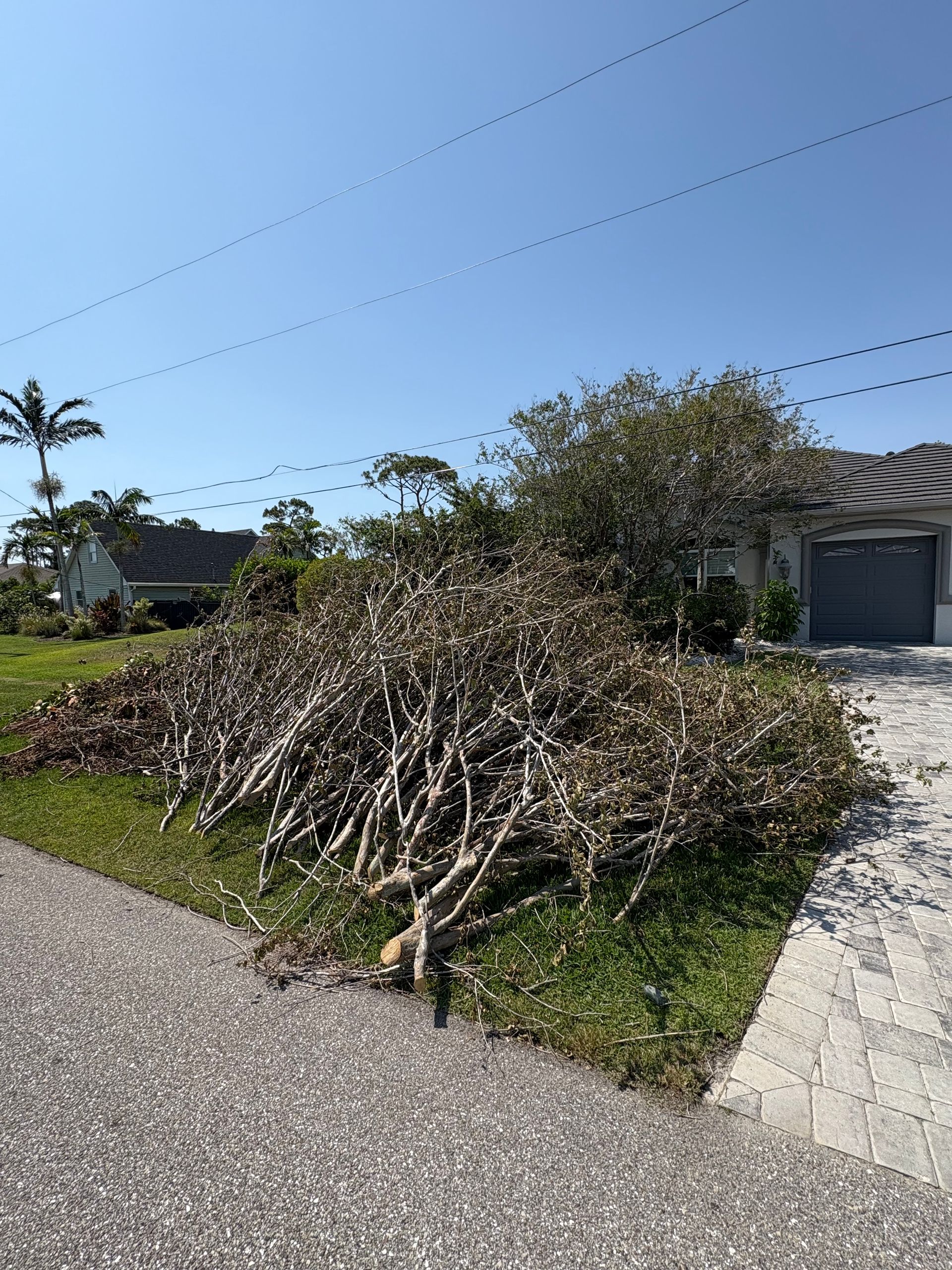 Pile of brown branches and leaves on a lawn next to a driveway and house, blue sky above.