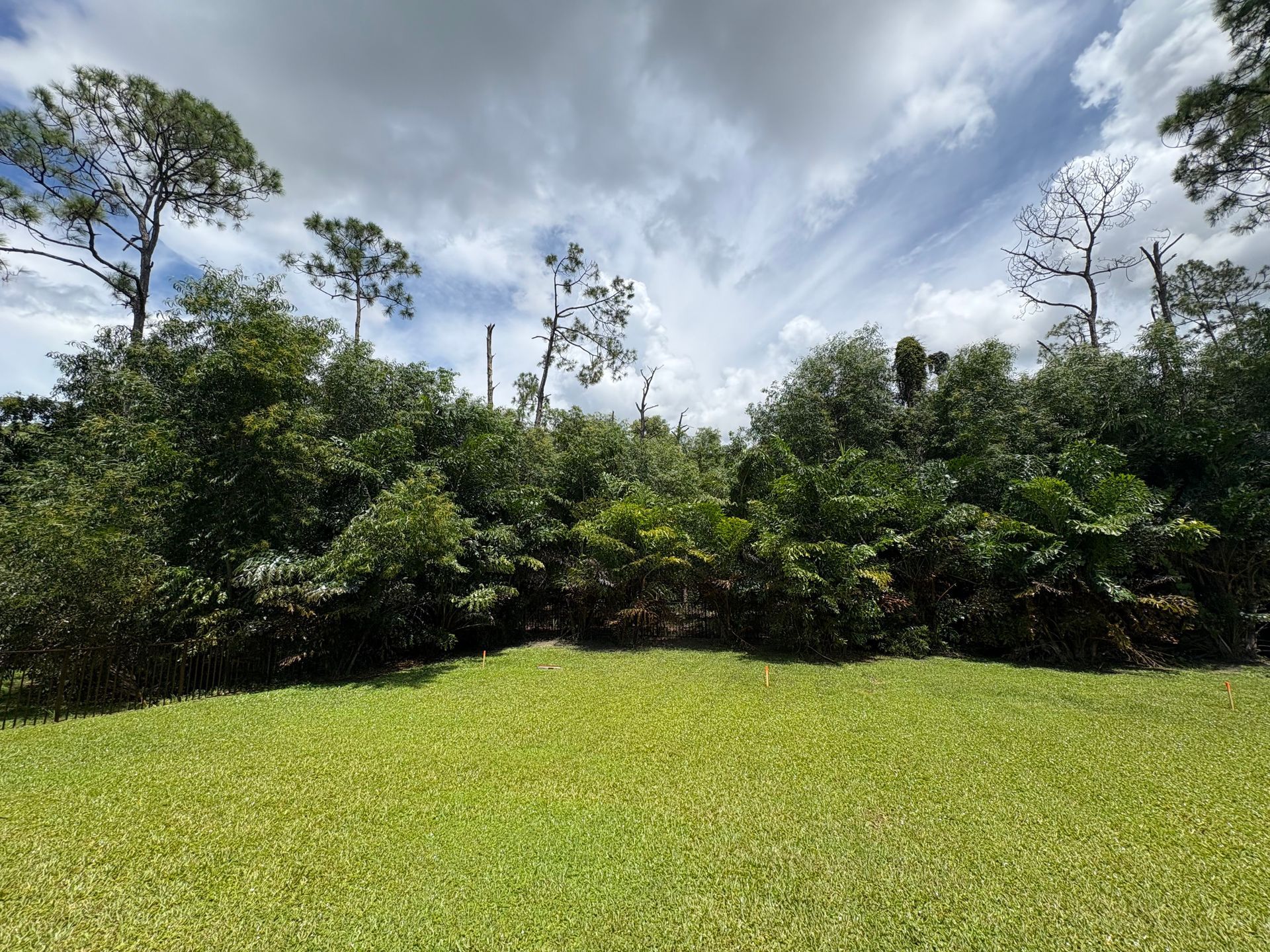 Lush green lawn in foreground; line of green trees and cloudy sky in background.