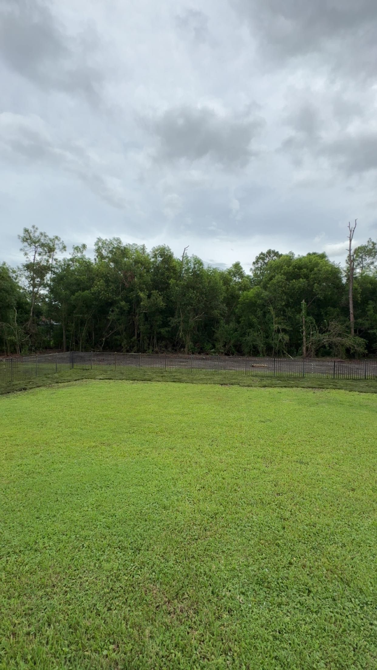 Green field with dense trees under a cloudy sky.