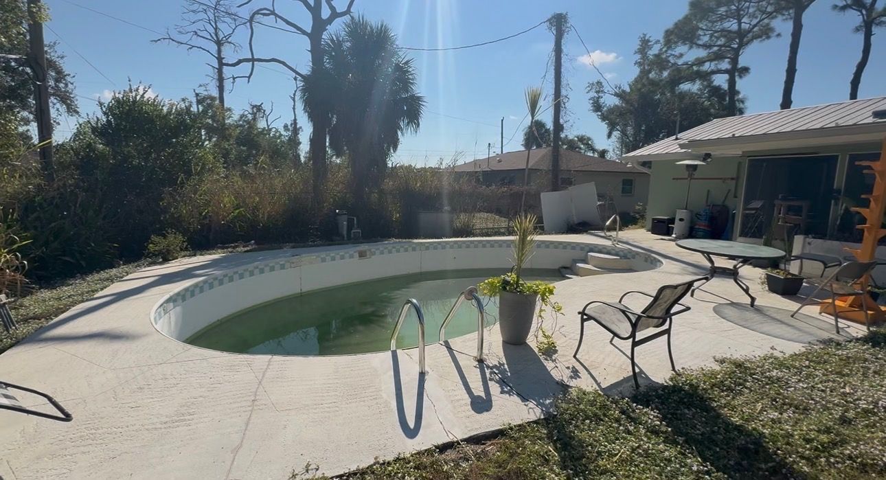 Overgrown, algae-filled oval pool with a concrete patio. A house is visible in the background, along with a tree and bushes.
