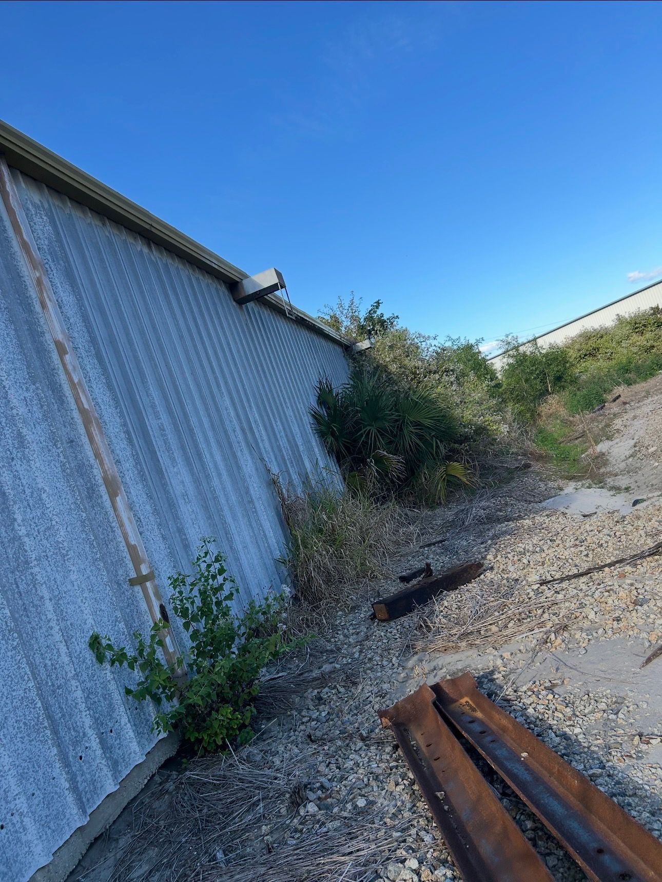 Side of a corrugated metal building, overgrown with bushes and weeds, against a blue sky.
