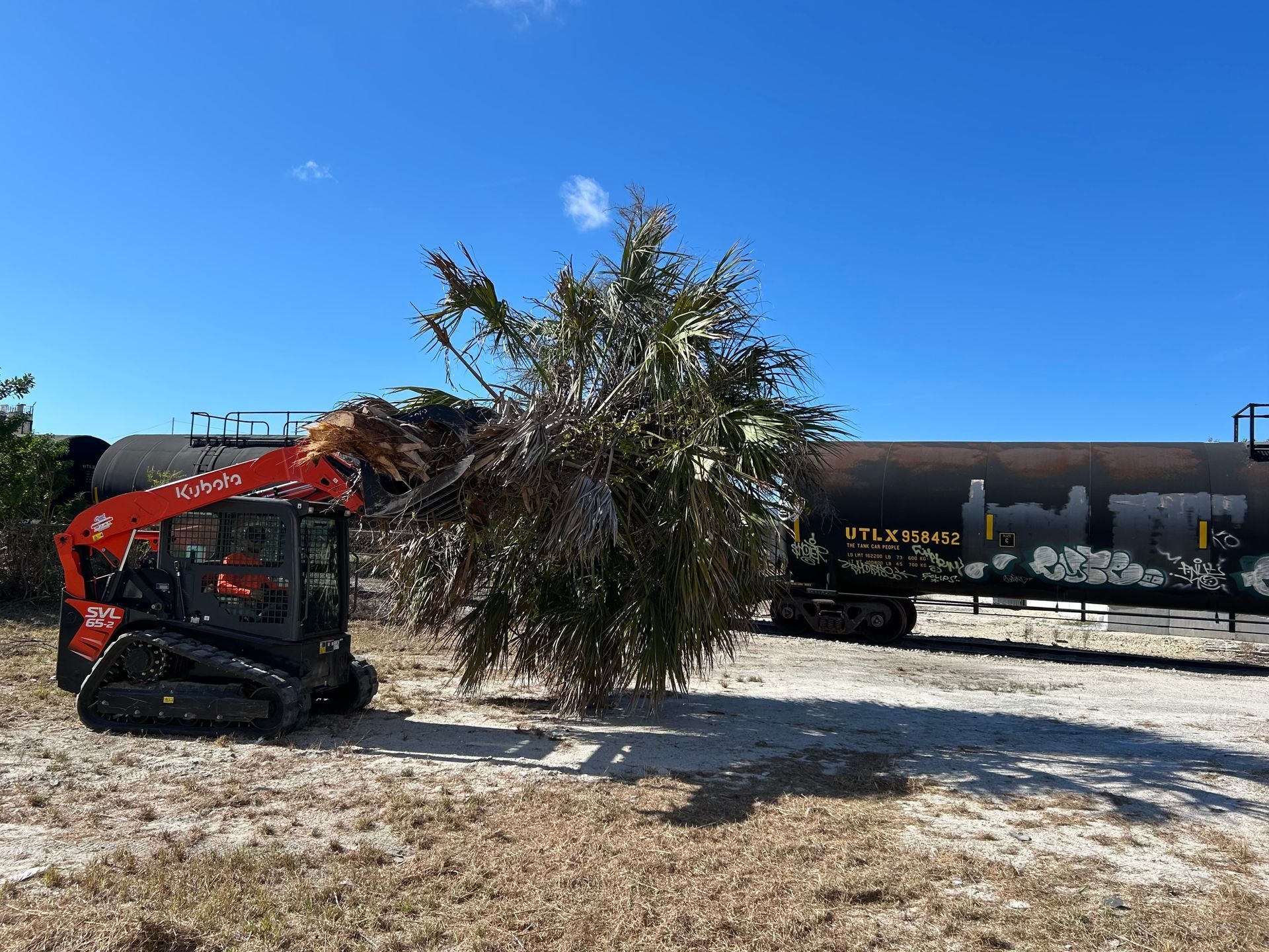 A compact orange loader carries palm tree debris near a train car on a sunny day.