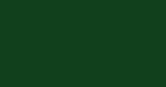 Solid dark green background with a lighter green vertical stripe on the right edge