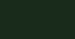 Dark green blank screen with a subtle vertical shadow on the right side
