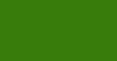 Solid green rectangle background