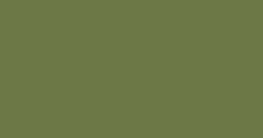 Solid olive-green rectangle filling the frame.
