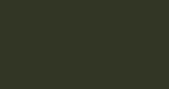 Dark olive-green blank screen or solid color background