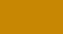 Solid mustard-yellow rectangle with a thin black border at the bottom and right edges
