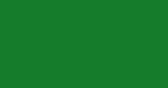 Solid green screen with no visible objects or text