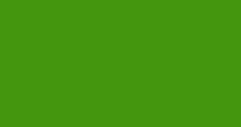 Solid green screen background