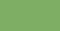 Solid light green background.
