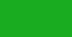 Solid green rectangle