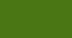Solid olive-green rectangle background